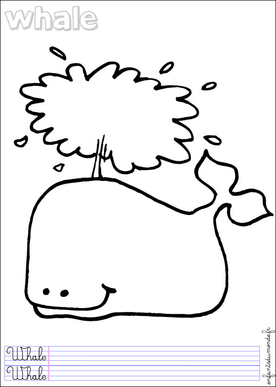 coloriage baleine 1
